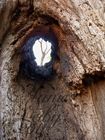 A View to the Other Side 89