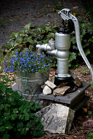 Water Pump-color 442D